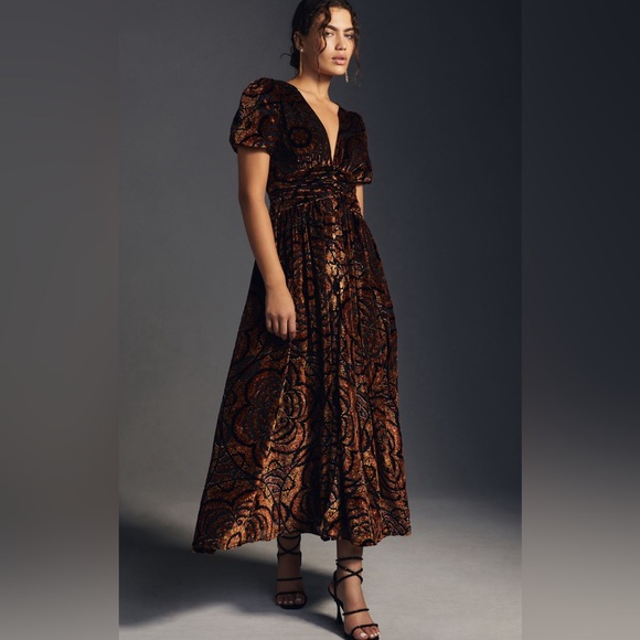 Anthropologie Burnout Velvet Dress - Picture 1 of 8